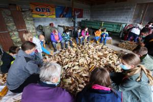LIČKANJE KORUZE V IVANJEM SELU 08 FOTO LJUBO VUKELIČ